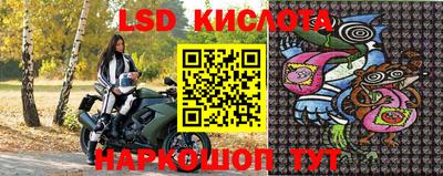 ПСИЛОЦИБИНОВЫЕ ГРИБЫ Камышлов