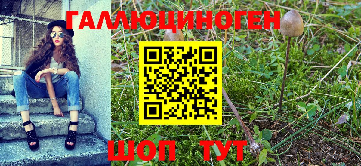 Краснознаменск  Псилоцибиновые грибы Magic Shrooms  Вход с VPN 